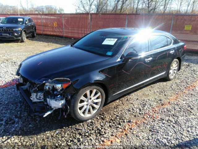 Photo 1 VIN: JTHDL1EF2B5003787 - LEXUS LS 460 