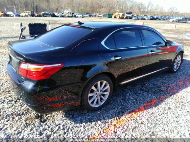 Photo 3 VIN: JTHDL1EF2B5003787 - LEXUS LS 460 