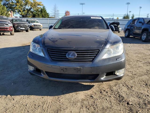 Photo 4 VIN: JTHDL1EF8A5001069 - LEXUS LS 460L 