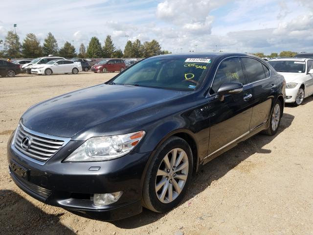 Photo 1 VIN: JTHDL5EF3B5004034 - LEXUS LS 460 