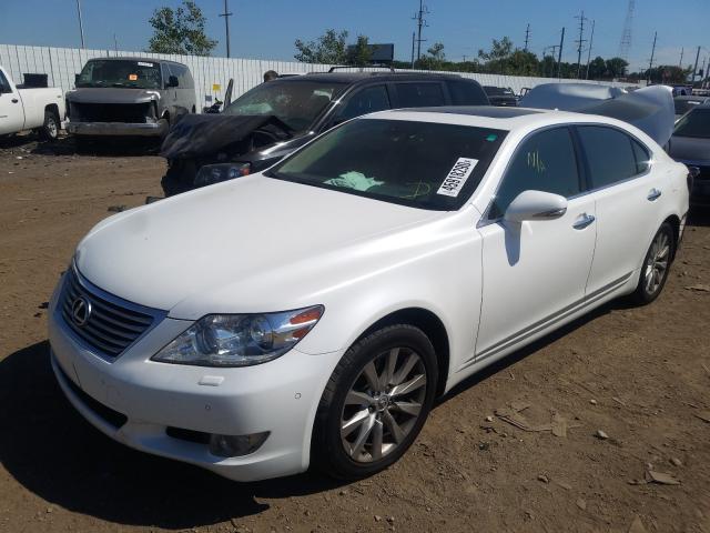 Photo 1 VIN: JTHDL5EF5B5003399 - LEXUS LS 460L 