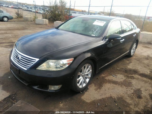 Photo 1 VIN: JTHDL5EF8C5004340 - LEXUS LS 