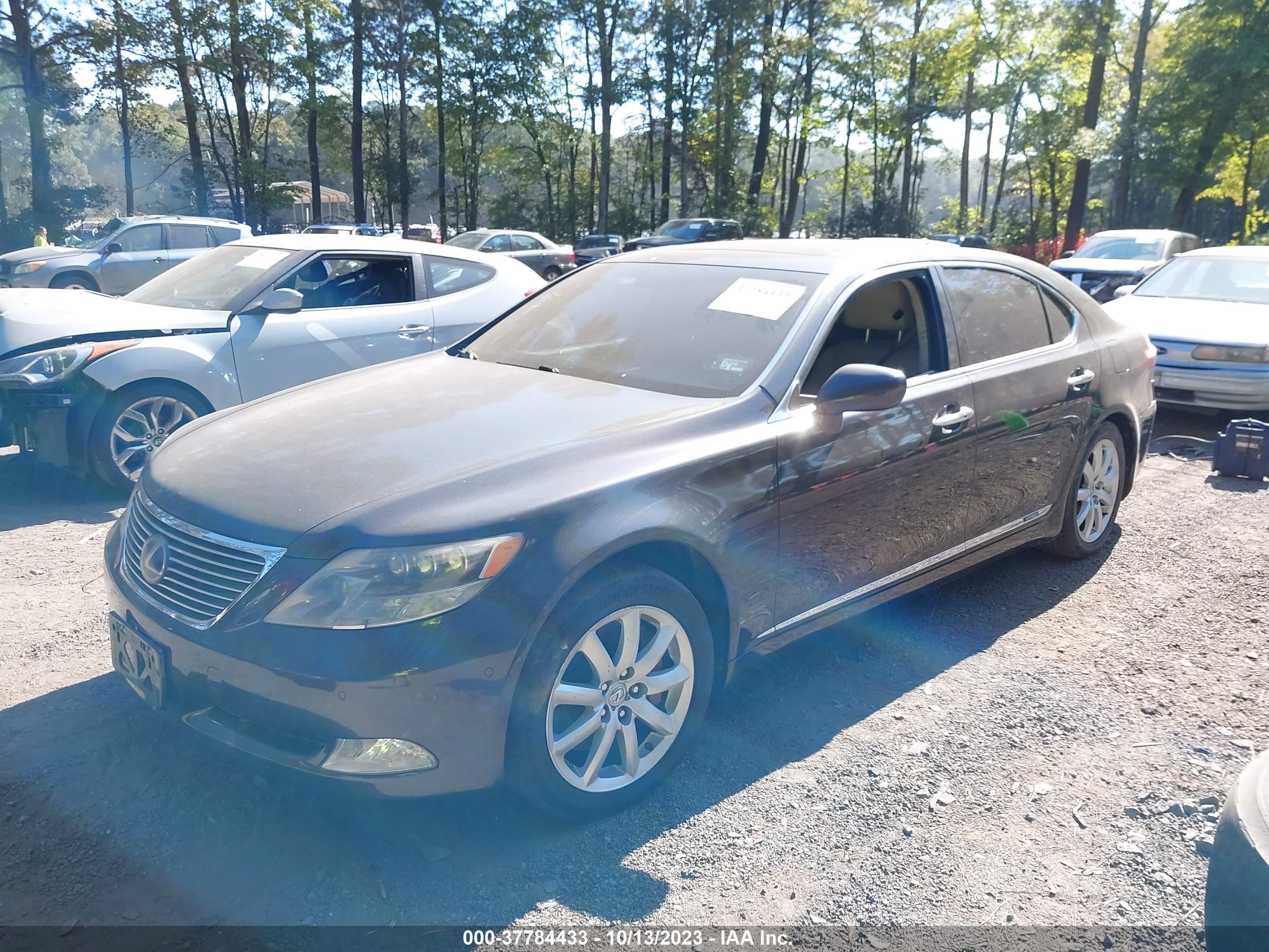 Photo 1 VIN: JTHDU46F995010064 - LEXUS LS 