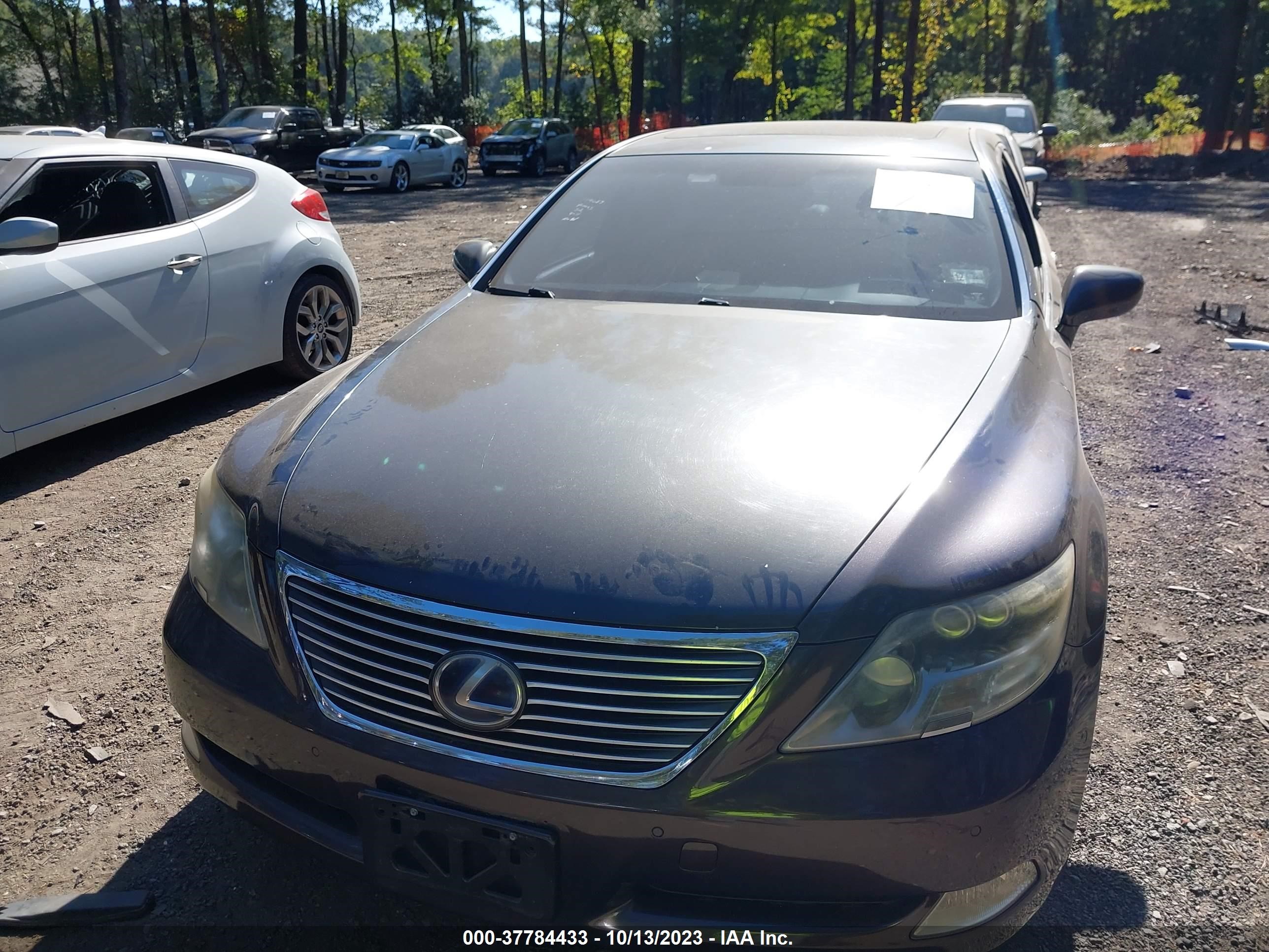 Photo 5 VIN: JTHDU46F995010064 - LEXUS LS 