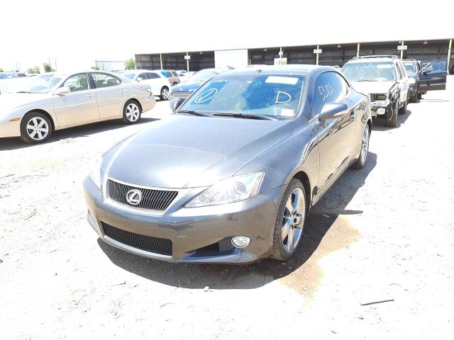 Photo 1 VIN: JTHFF2C20A2501816 - LEXUS IS 250 