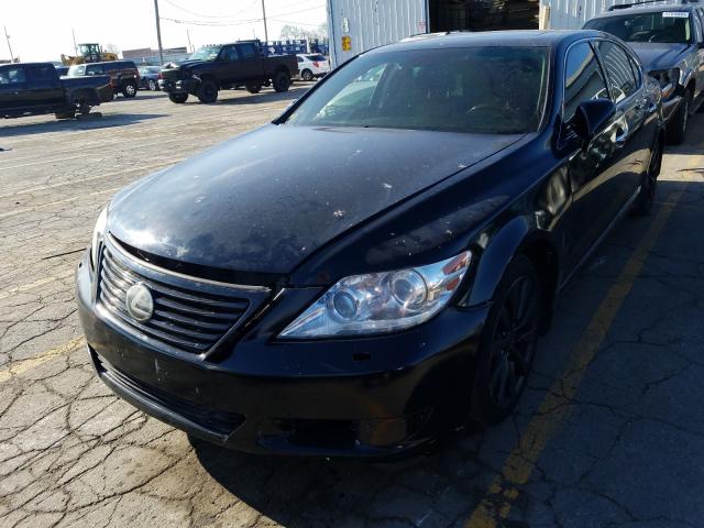 Photo 1 VIN: JTHGL1EF1B5043176 - LEXUS LS 460L 