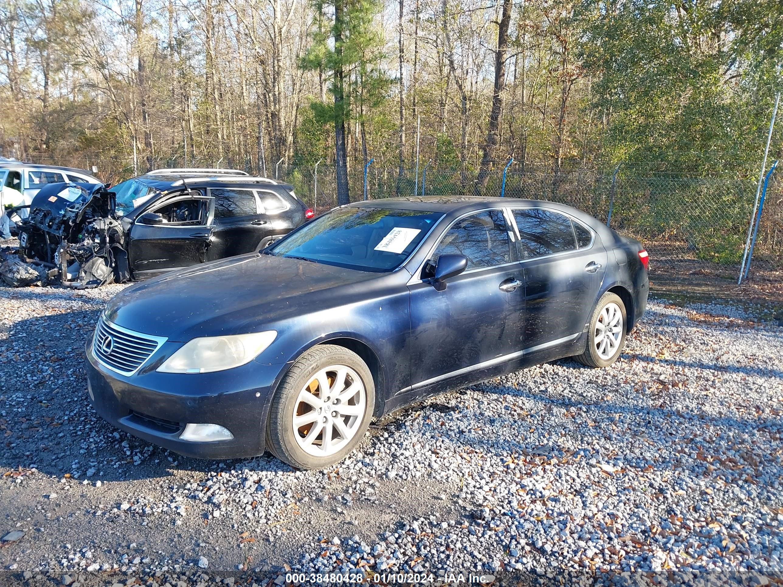 Photo 1 VIN: JTHGL46F685032585 - LEXUS LS 