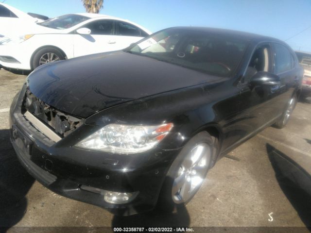 Photo 1 VIN: JTHGL5EF0A5037701 - LEXUS LS 460 