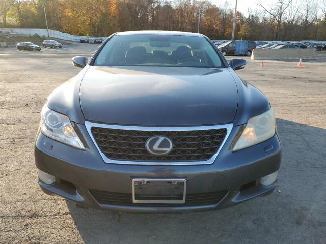 Photo 4 VIN: JTHGL5EF0A5040890 - LEXUS LS 460L 