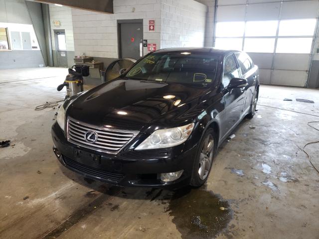 Photo 1 VIN: JTHGL5EF1B5042648 - LEXUS LS 460L 