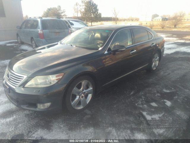 Photo 1 VIN: JTHGL5EF1B5043959 - LEXUS LS 460 