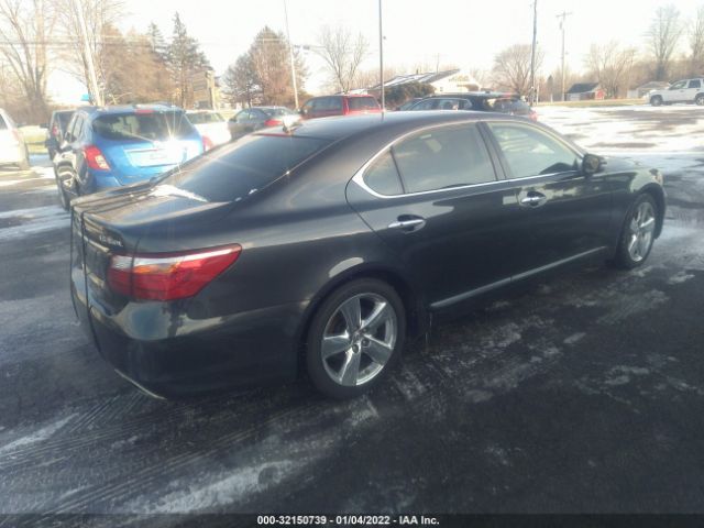 Photo 3 VIN: JTHGL5EF1B5043959 - LEXUS LS 460 