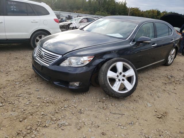 Photo 1 VIN: JTHGL5EF2B5043596 - LEXUS LS 460L 