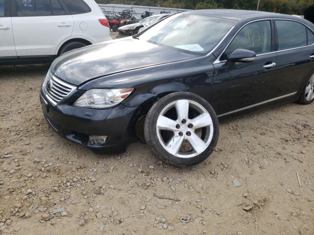 Photo 8 VIN: JTHGL5EF2B5043596 - LEXUS LS 460L 