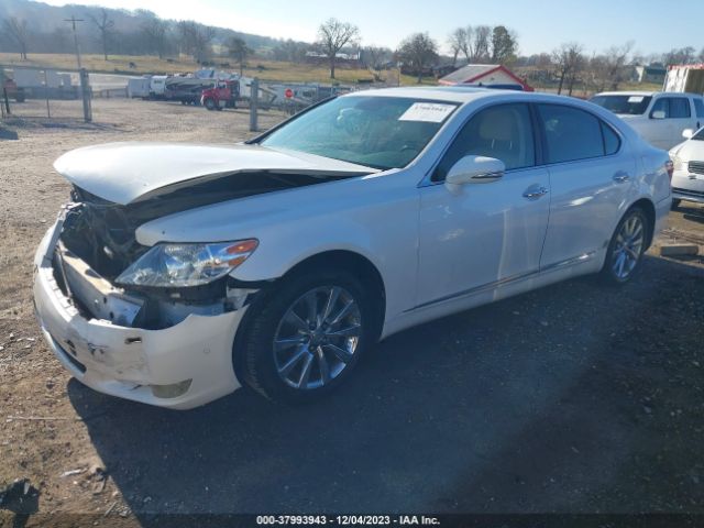 Photo 1 VIN: JTHGL5EF4A5041041 - LEXUS LS 460 