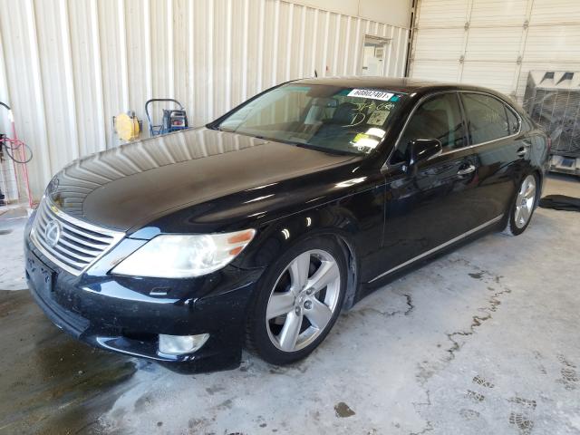 Photo 1 VIN: JTHGL5EF6A5038738 - LEXUS LS 460L 