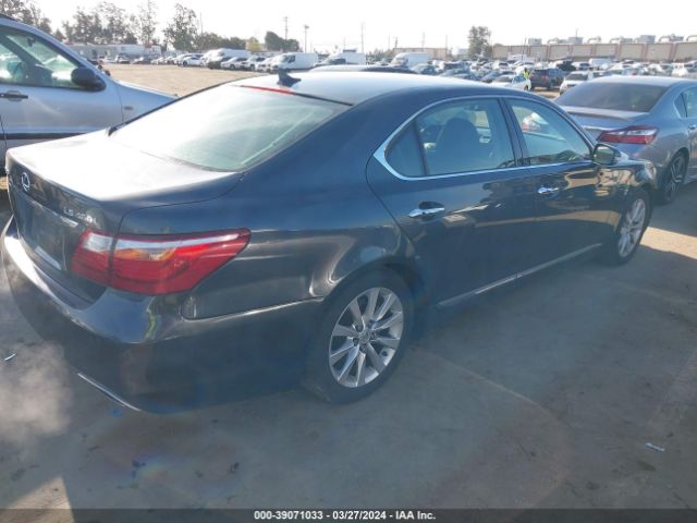 Photo 3 VIN: JTHGL5EF6A5041672 - LEXUS LS 460 