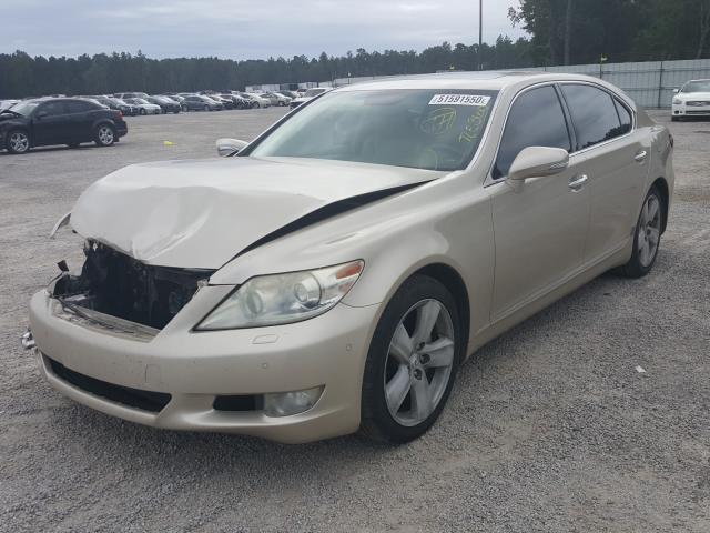 Photo 1 VIN: JTHGL5EF9A5040242 - LEXUS LS 460L 