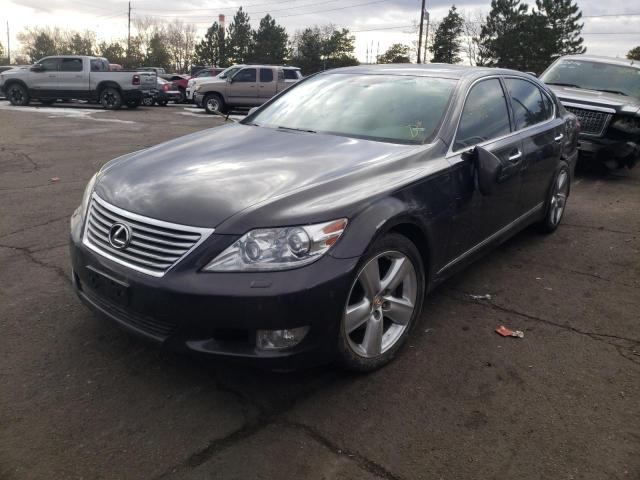 Photo 1 VIN: JTHGL5EFXA5040346 - LEXUS LS 460L 