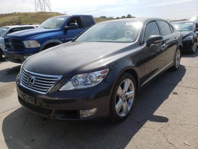 Photo 1 VIN: JTHGL5EFXA5040346 - LEXUS LS 460L 