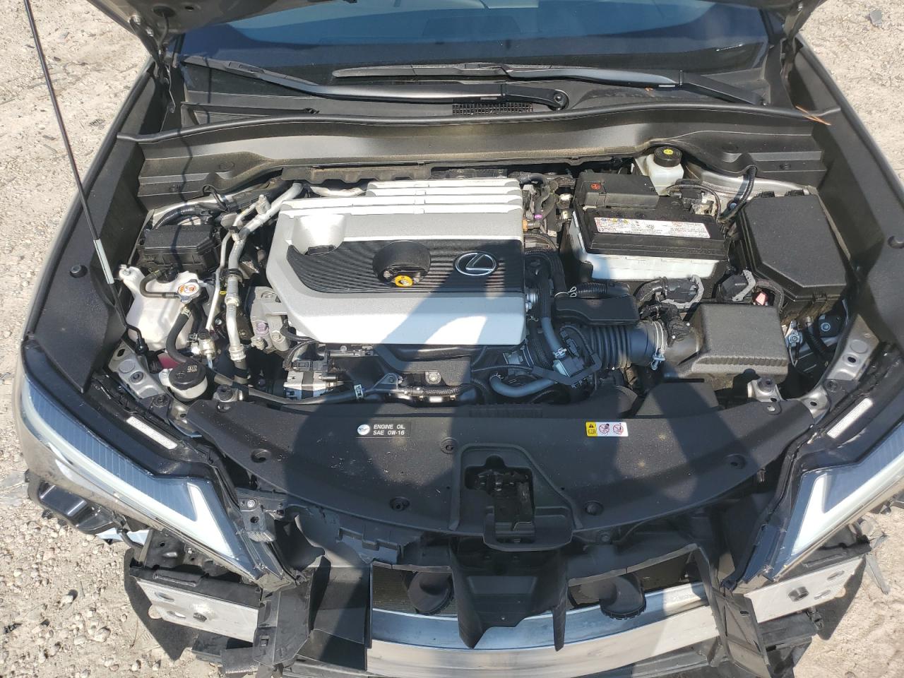 Photo 11 VIN: JTHP3JBH3M2034425 - LEXUS UX 