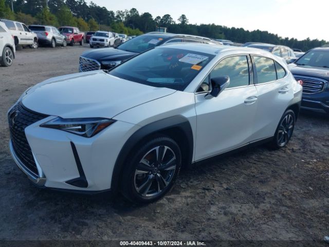 Photo 1 VIN: JTHP3JBH4M2045160 - LEXUS UX 