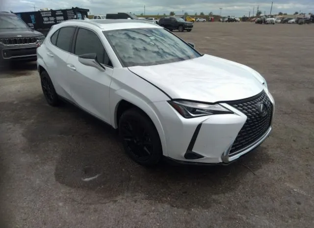 Photo 0 VIN: JTHP3JBH8N2050234 - LEXUS UX 