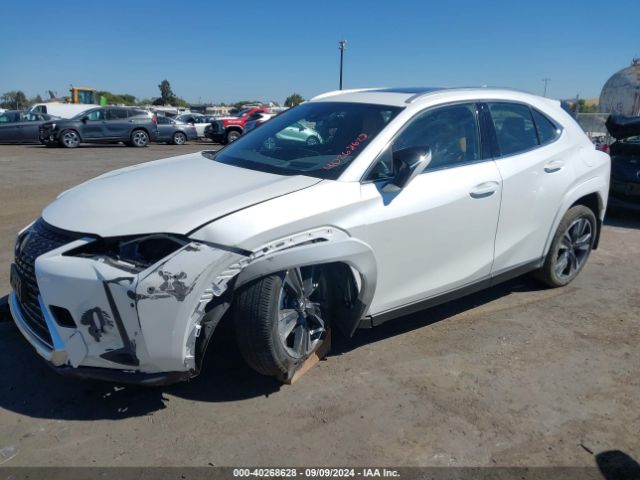 Photo 1 VIN: JTHP6JBH7R2173357 - LEXUS UX 