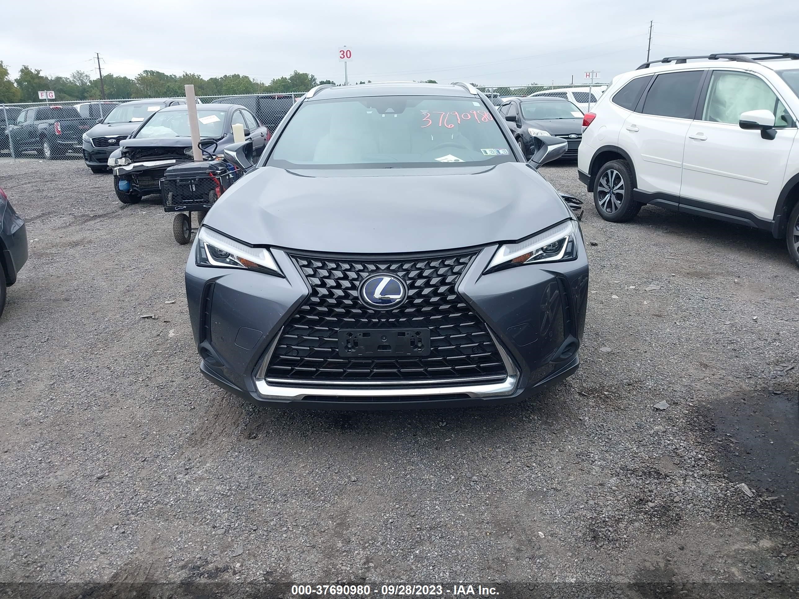 Photo 12 VIN: JTHP9JBH1L2022321 - LEXUS UX 