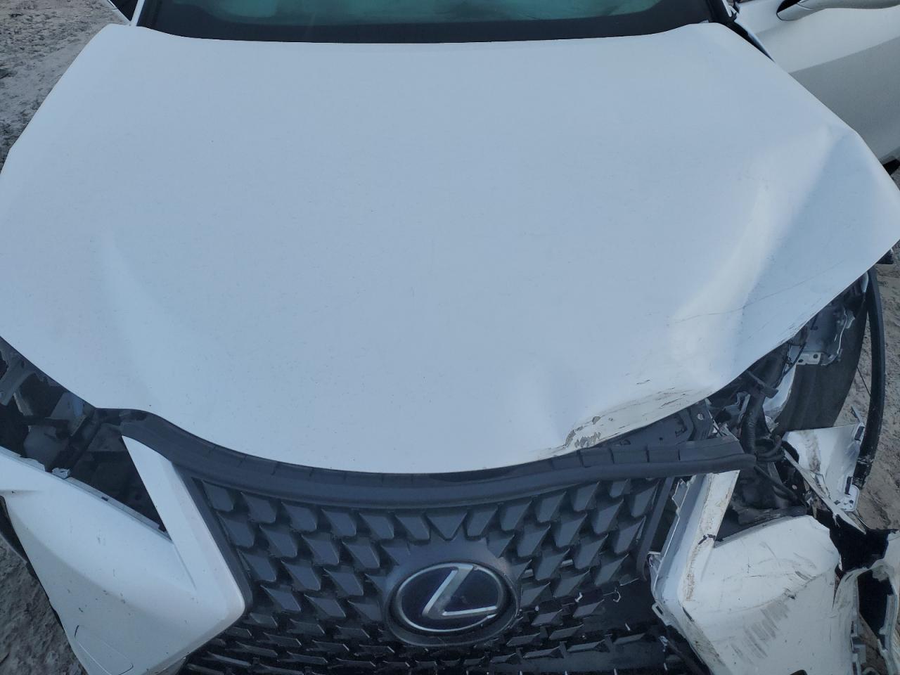 Photo 10 VIN: JTHP9JBH1L2033125 - LEXUS UX 