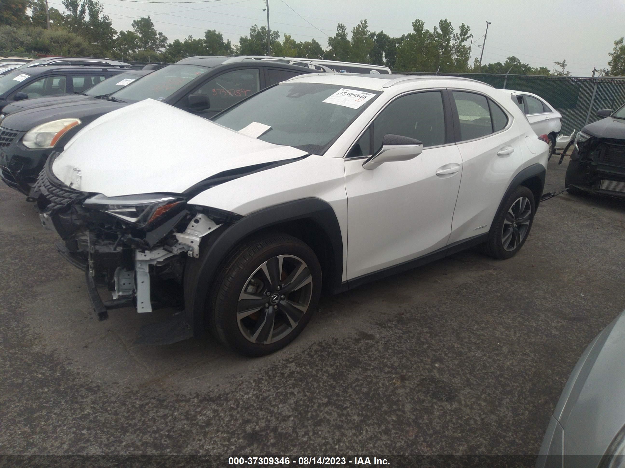 Photo 1 VIN: JTHP9JBH1M2044949 - LEXUS UX 