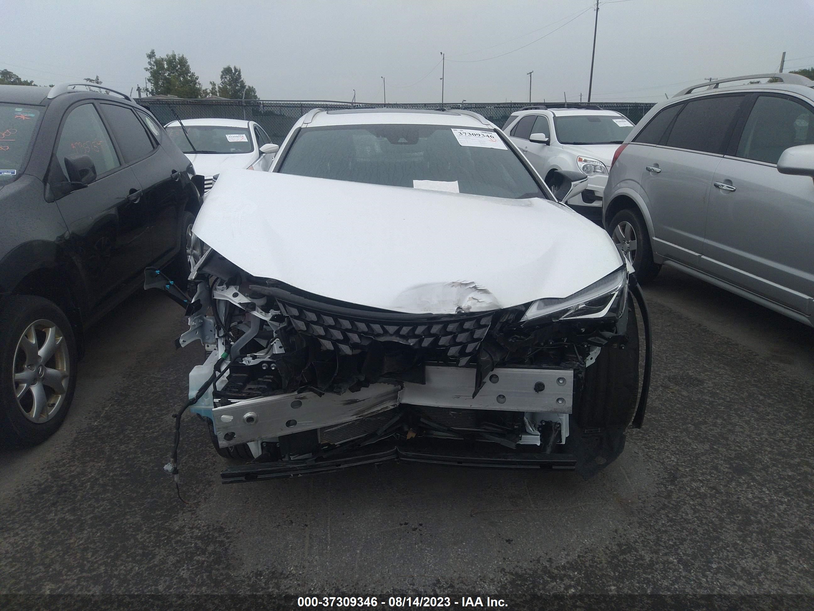 Photo 11 VIN: JTHP9JBH1M2044949 - LEXUS UX 