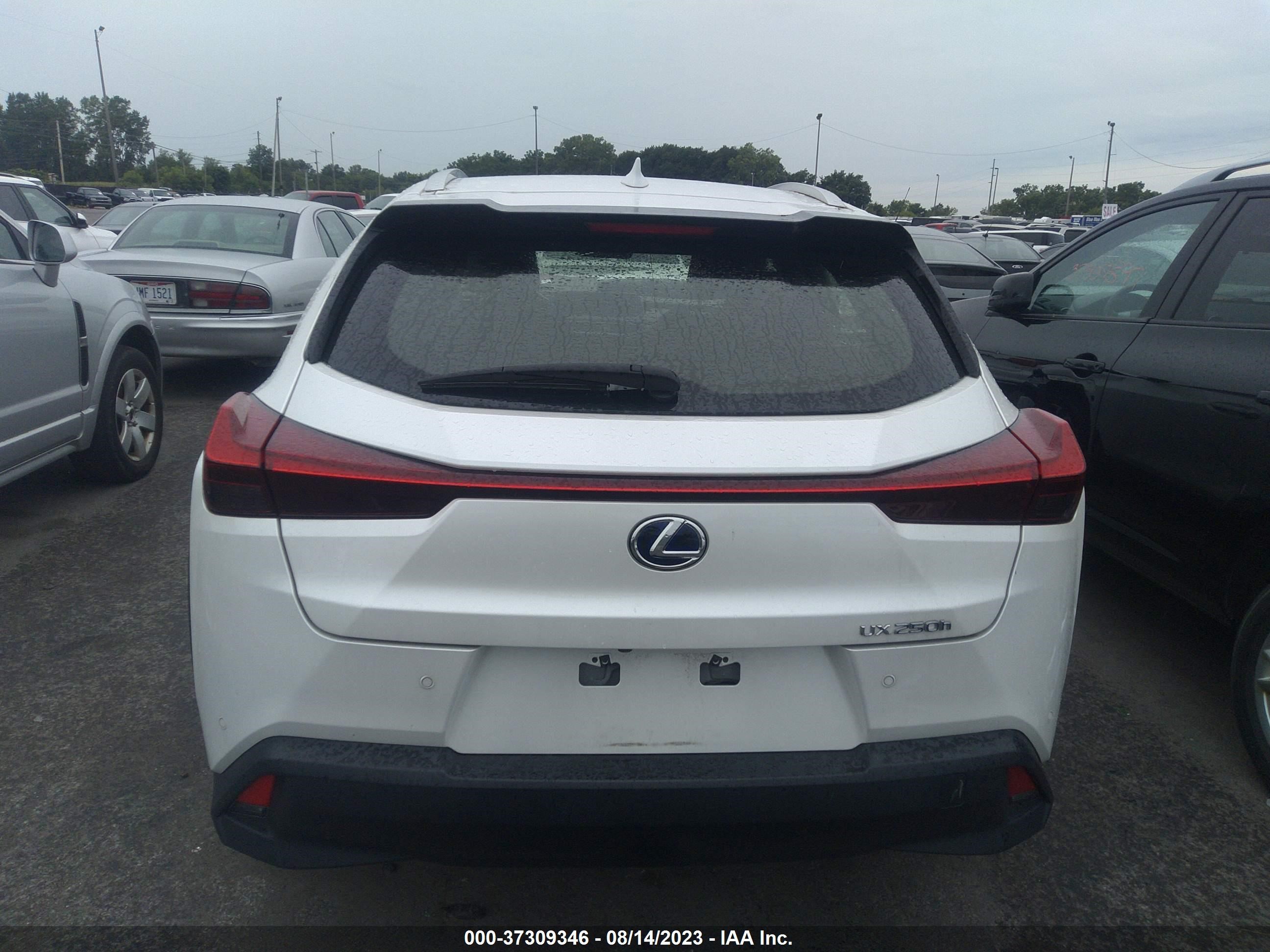 Photo 15 VIN: JTHP9JBH1M2044949 - LEXUS UX 