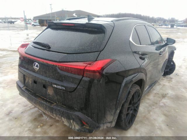 Photo 3 VIN: JTHP9JBH3M2045794 - LEXUS UX 250H 