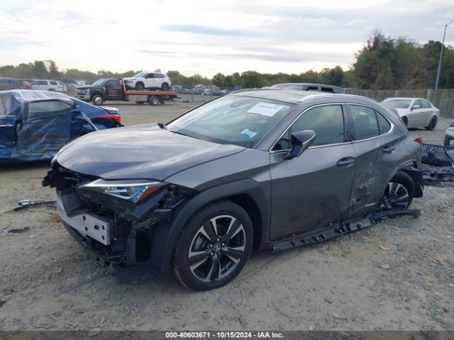 Photo 1 VIN: JTHP9JBH4M2040734 - LEXUS UX 