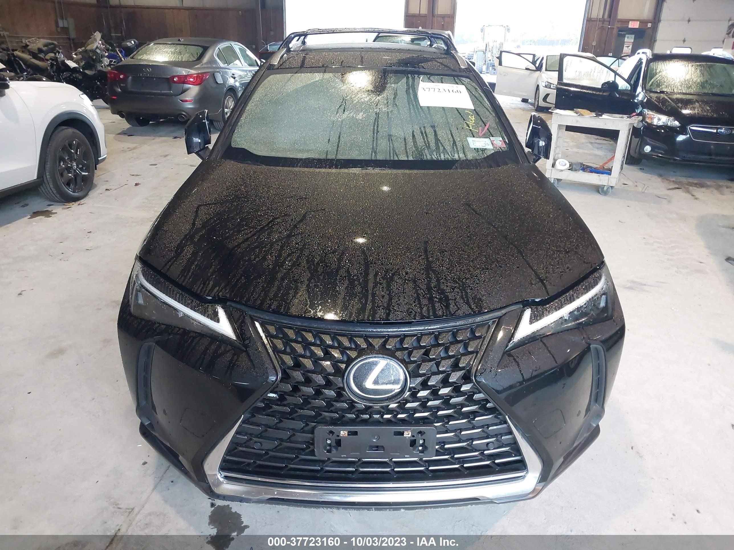 Photo 11 VIN: JTHP9JBH5P2069843 - LEXUS UX 