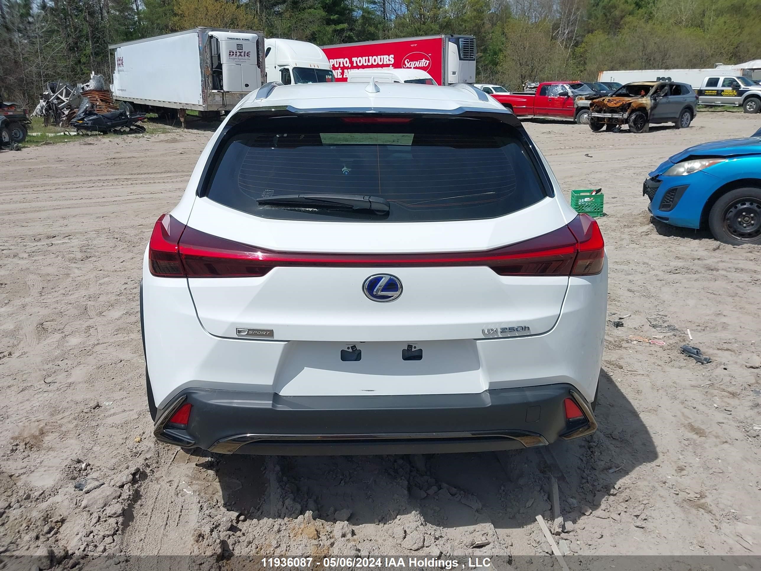 Photo 16 VIN: JTHR9JBH3M2036893 - LEXUS UX 