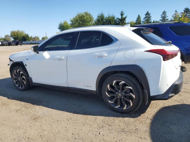 Photo 1 VIN: JTHR9JBH6L2027166 - LEXUS UX 250H 