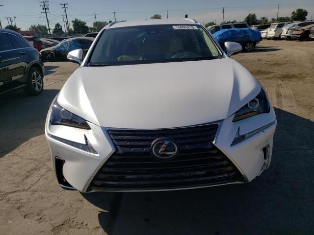 Photo 4 VIN: JTJAARBZ1L5008551 - LEXUS NX 