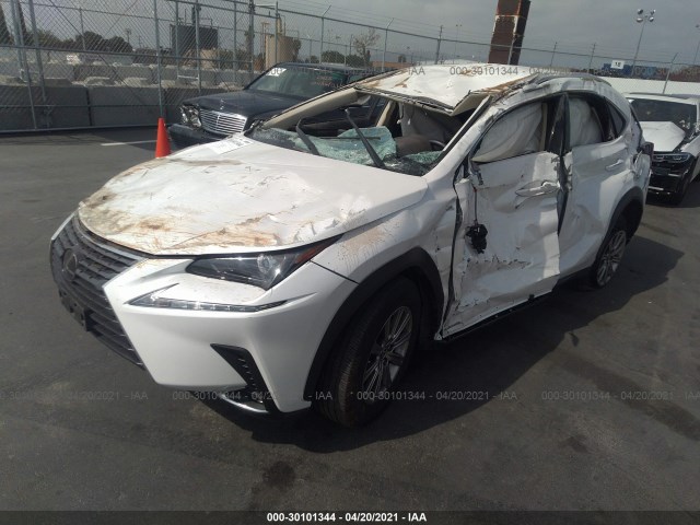 Photo 1 VIN: JTJAARBZXL5000951 - LEXUS NX 