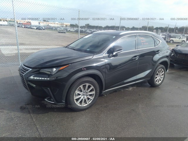 Photo 1 VIN: JTJAARBZXL5008208 - LEXUS NX 