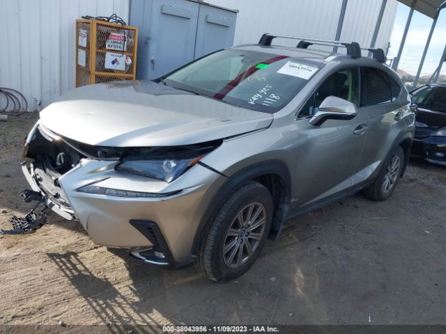 Photo 1 VIN: JTJAARDZ0L5008697 - LEXUS NX 