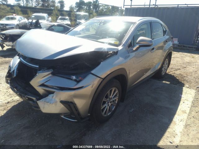 Photo 1 VIN: JTJAARDZ1L2233826 - LEXUS NX 