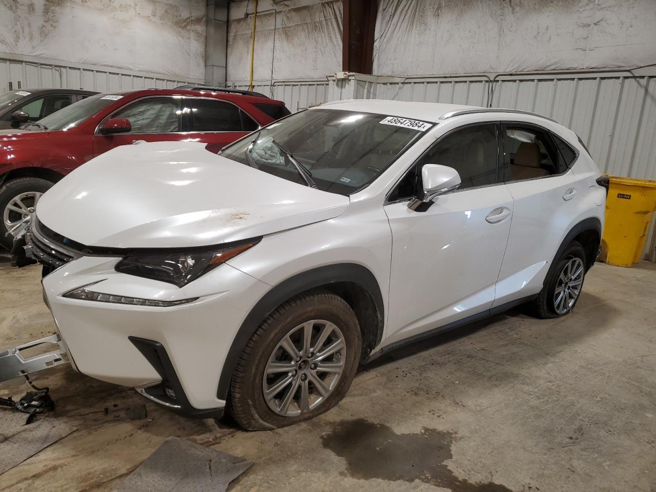 Photo 0 VIN: JTJAARDZ9L5009976 - LEXUS NX 