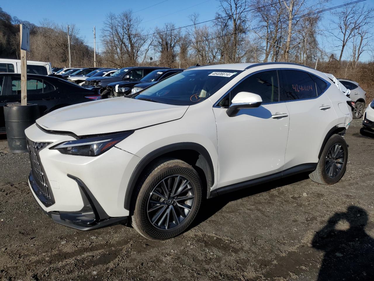 Photo 1 VIN: JTJADCAZ0R5014095 - LEXUS NX 250 BAS 