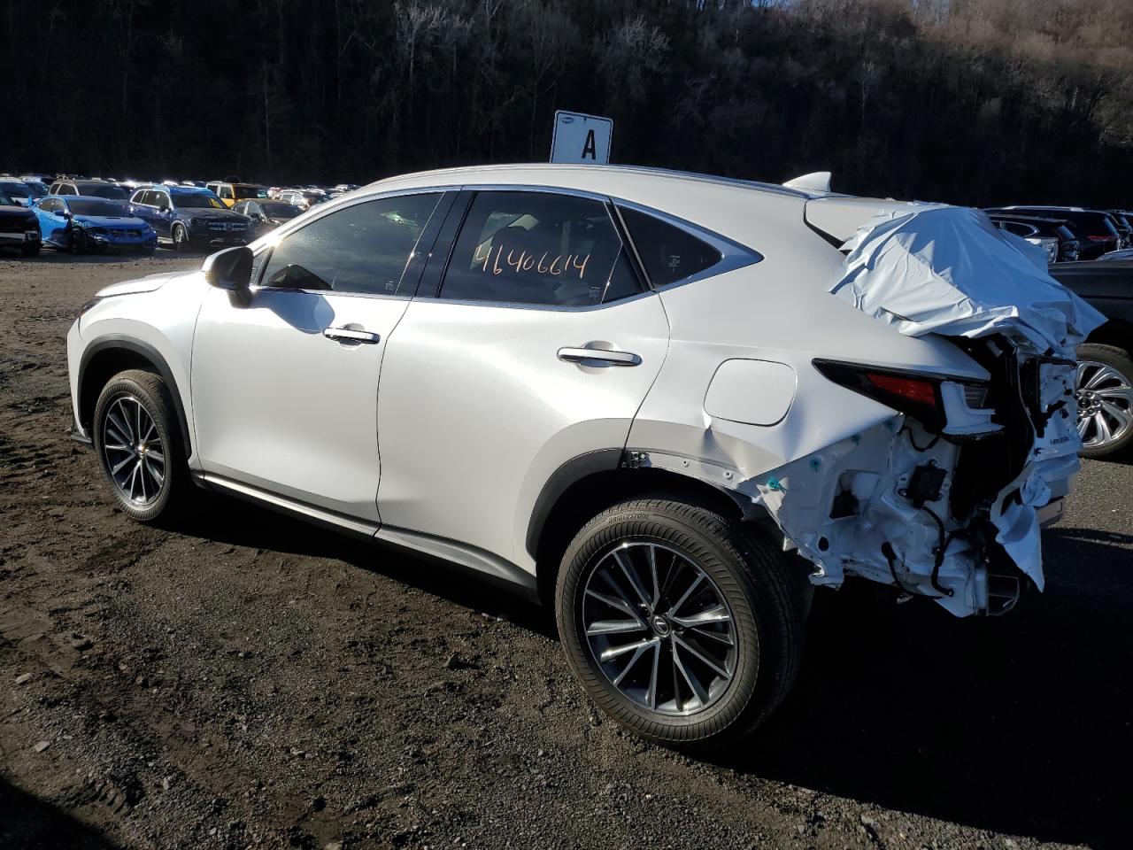 Photo 2 VIN: JTJADCAZ0R5014095 - LEXUS NX 250 BAS 