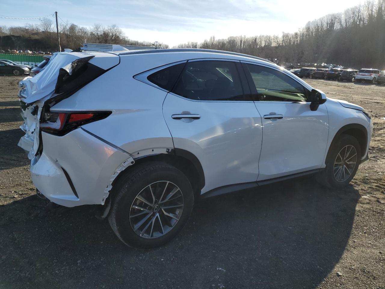 Photo 3 VIN: JTJADCAZ0R5014095 - LEXUS NX 250 BAS 