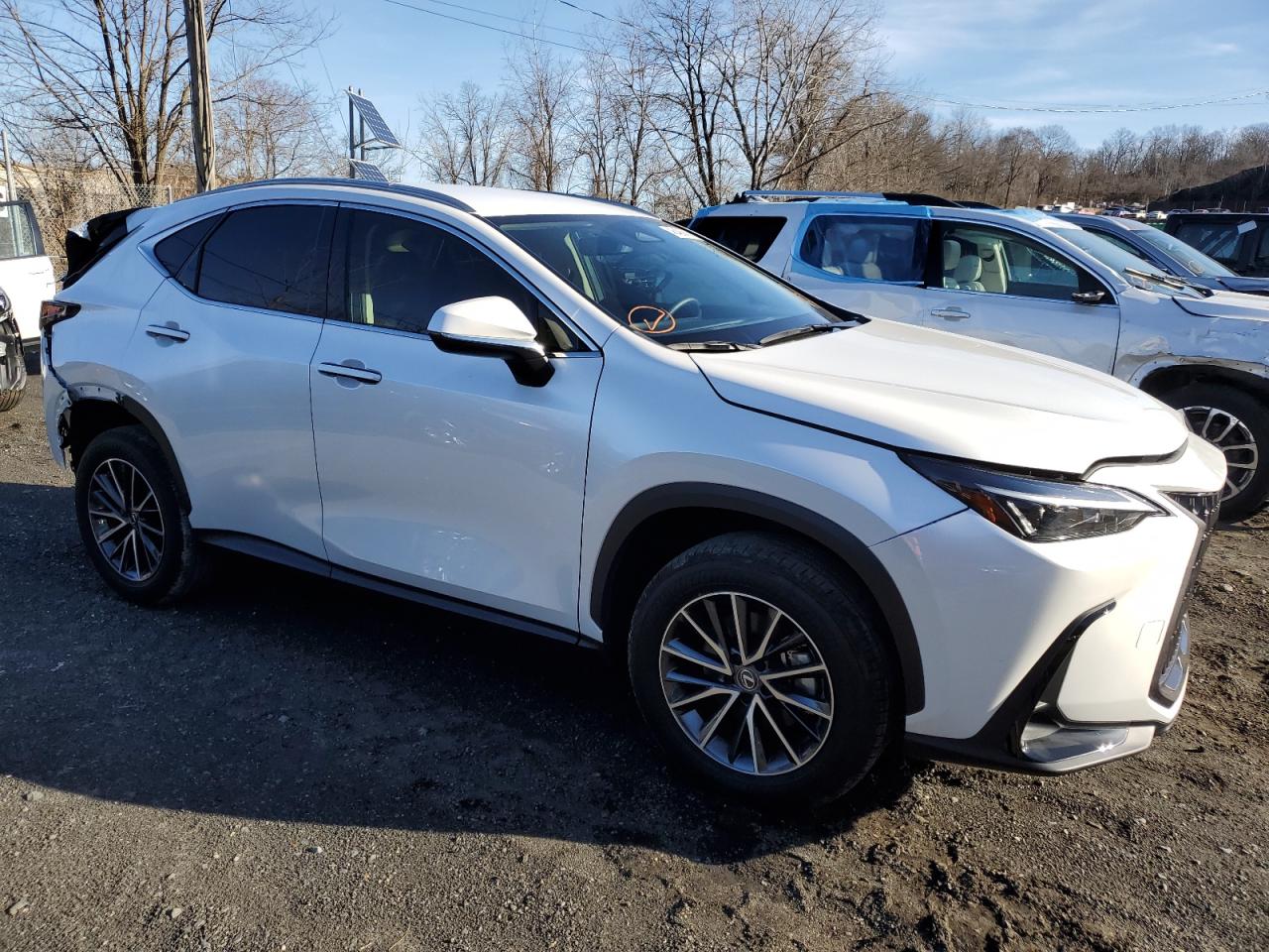 Photo 4 VIN: JTJADCAZ0R5014095 - LEXUS NX 250 BAS 