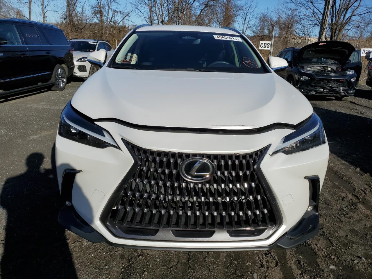 Photo 5 VIN: JTJADCAZ0R5014095 - LEXUS NX 250 BAS 