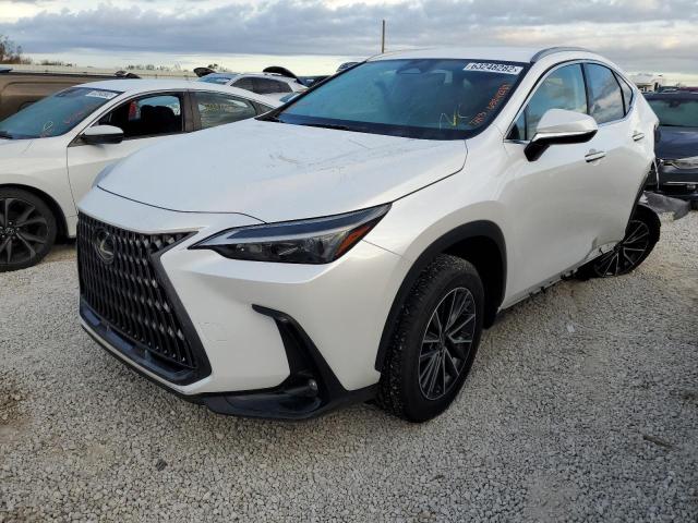 Photo 1 VIN: JTJADCAZ2N5000242 - LEXUS NX 250 